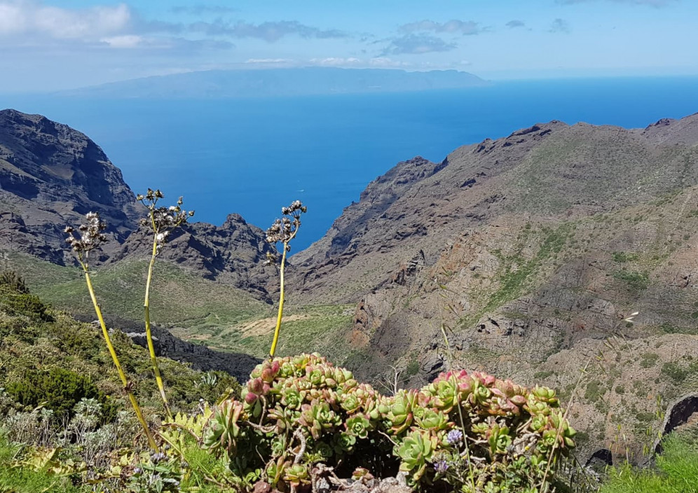 Bild von Teneriffa - abwechslungsreiche Insel der Kanaren